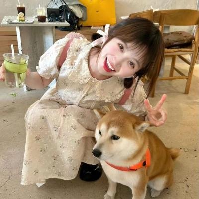 优越的一天海报
